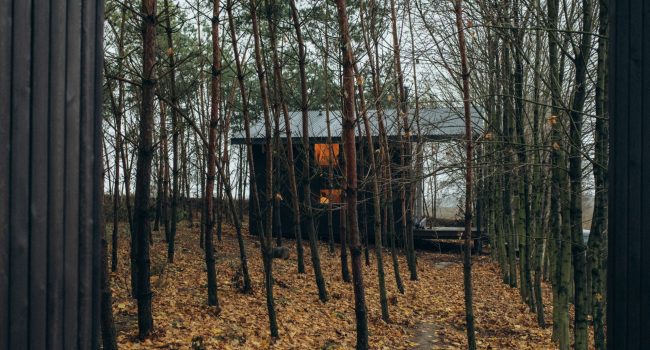 revestimiento de madera yakisugi en casa de floresta
